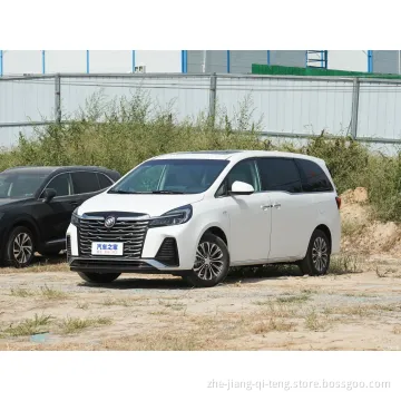 China Car Buick Gl8 2023 Land Business Cabin Luxury Edition